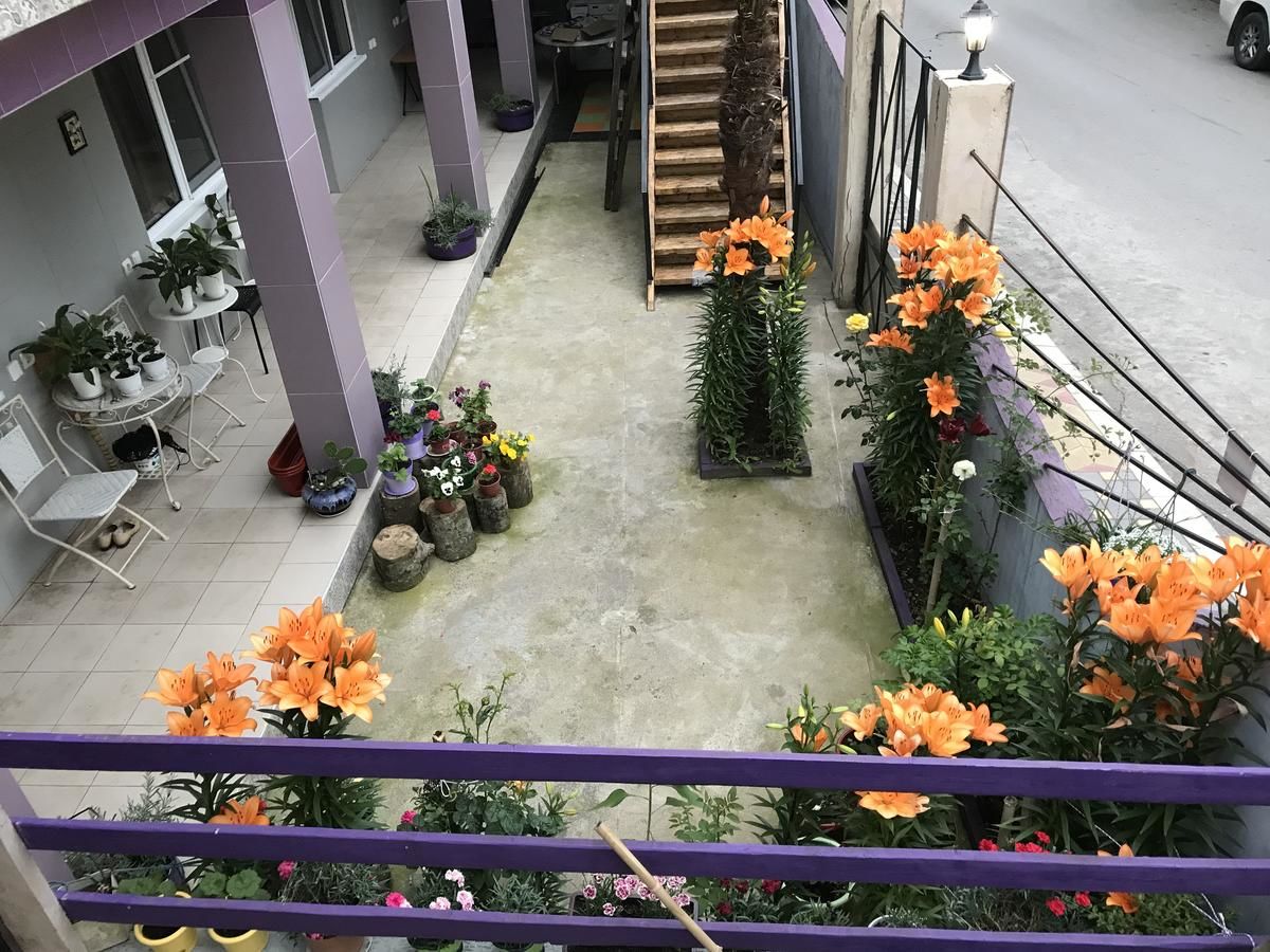 Гостевой дом Guest House REGAN Гагра-15