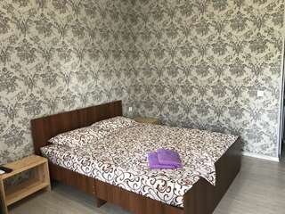 Гостевой дом Guest House REGAN Гагра Двухместный номер Делюкс с 1 кроватью и балконом-3