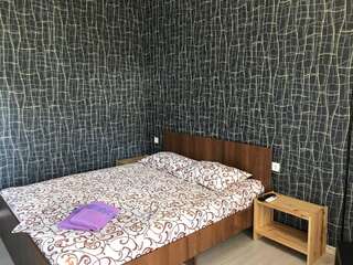 Гостевой дом Guest House REGAN Гагра Двухместный номер Делюкс с 1 кроватью и балконом-5