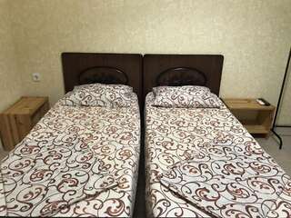 Гостевой дом Guest House REGAN Гагра Просторный двухместный номер с 2 отдельными кроватями-3
