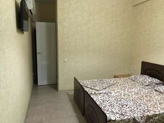 Гостевой дом Guest House REGAN Гагра Просторный двухместный номер с 2 отдельными кроватями-5