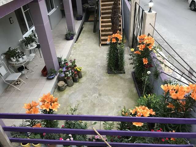 Гостевой дом Guest House REGAN Гагра-14