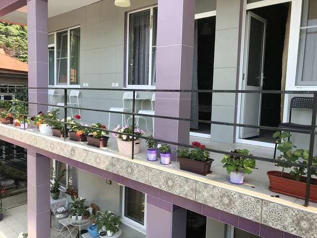 Гостевой дом Guest House REGAN Гагра-17