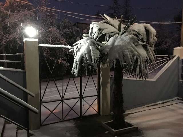 Гостевой дом Guest House REGAN Гагра-47
